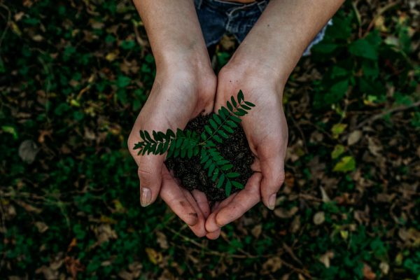 Why (it is important) to recycle corrugated cardboard: the benefits