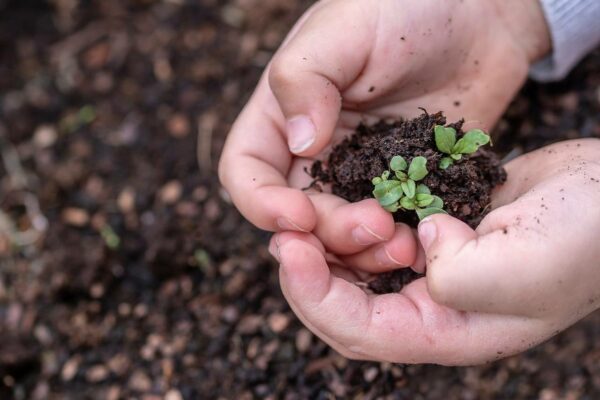 Che cosa vuol dire essere un’azienda con certificazione ISO 14001 e perché è importante per l’ambiente