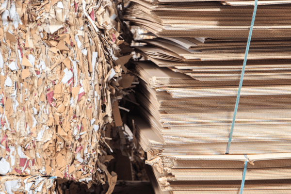 Italia leader nel riciclo: 9 imballaggi su 10 in carta e cartone vengono riciclati